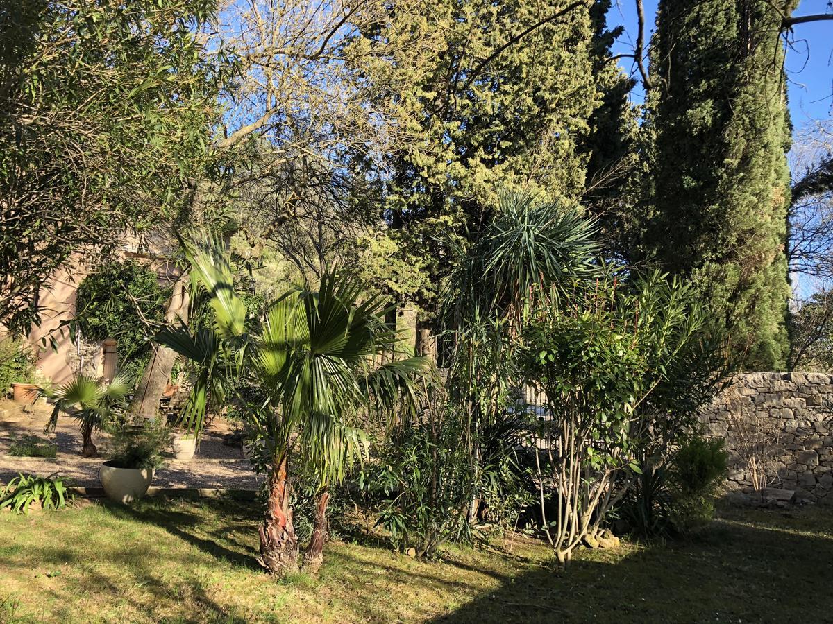 Auberge De Pachoquin Meounes-les-Montrieux ภายนอก รูปภาพ